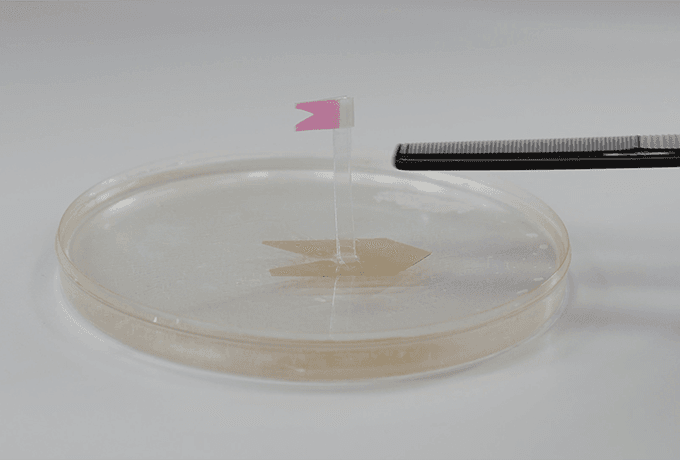 Электростатическая индукция